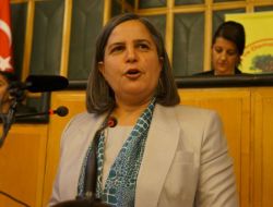 Kışanak: Hiçkimse Ana Dili Pazarlık Konusu Yapamaz