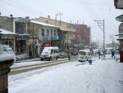Kış Yüzünü Gösterdi, Başkale Beyaza Büründü