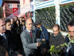 Vali Harput, Keles'te Çiftçilere Fidan Desteği Sağladı (2)