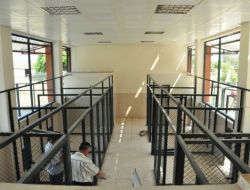 Manavgat'ta Sokak Hayvanları İçin Barınak