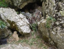 Jandarma Kampta Terörist Bulamadı!