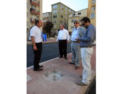 Yeni Kavşağın Çevresine Ihlamur Ağaçları Dikilecek