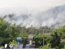 Osmaniye’de 20 Hektarlık Kızılçam Ormanı Yandı