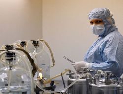 Rusya'da Domuz Gribi Vakası  5 Bin 613'e Yükseldi!