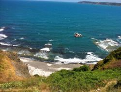 Babalar Gününde, Baba, Oğul Can Verdiler
