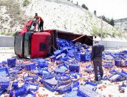 Sebze Kamyonu Kavşakta Devrildi, Domatesler Yere Saçıldı