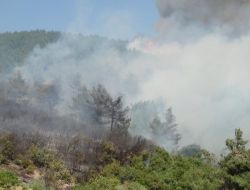 Kahramanmaraş’ın Ciğerleri Yandı