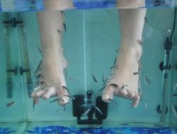 Doktor Balıklar Turizme Hizmet Ediyor