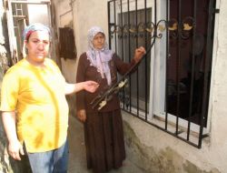 Kız Kardeşi İçin Biriktirdiği Tüp Bebek Parasını Hırsıza Kaptırdı