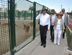 Başkan Gökçek, Sincan Evcil Hayvanlar Parkı’nı Gezdi