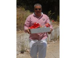 İzmir'de Ağaçlık Alana Gömülmüş 15 Kg. C4 Patlayıcı Bulundu