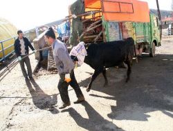 Yozgat'ta Kurbanlıklar İçin Kıyasıya Pazarlık Başladı