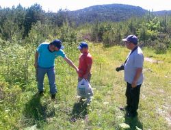 Balıkesir'deki Ulus Dağı'nın Florası Çıkarılıyor