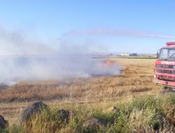 Viranşehir’de Buğday Ekili Tarla Kül Oldu