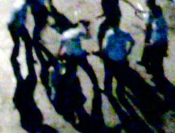 Polisten Babaya Çocuklarının Gözü Önünde Öldüresiye Dayak