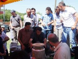 Kayın Mantarı Köylüye Ek Gelir Olacak