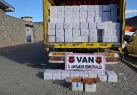 BAŞKALE'de 20 Ton Kaçak Ceviz