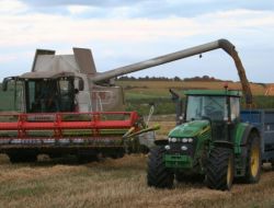 210 Bin Dekar Alanda Hububat Hasadı Başladı