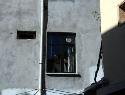 Arılar Şehri Bastı, İnsanlar Evden Dışarı Çıkamadı!