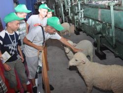 Üsküplü Gençler Bursalı Akranlarının Misafiri Oldu