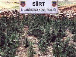 Uyuşturucu Tacirlerine Darbe