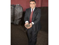 Zeytin Çekirdeğinden Üretilen Yakıt, İthal Kömüre Rakip Oldu