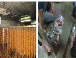 Sahte Belge İle Vurguna Operasyon