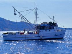Balık Varlığını Korumak İçin Karadeniz’de Balıkçı Gemileri Azaltılıyor