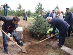 Kazada Hayatını Kaybeden 5 Gencin Adı Ladin Fidanıyla Yaşayacak
