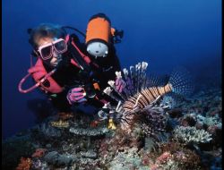 Kızıldeniz’den Gelen Zehirli Balıklar Kıyıları Tehdit Ediyor