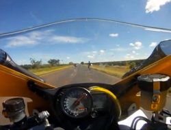 Saatte 250 Km Hızla Giden Motosiklette Yılan Şoku!