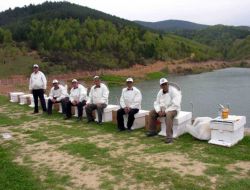 Arıcılar İçin Ormanlarda Özel Yollar Yapılacak