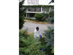 Patlayıcı Aramalarına Yeniden Başlandı