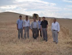 Yozgat’ta Bu Yıl 7 Milyon Dekar Alanda Hububat Hasadı Yapılacak