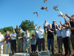Türkoğlu'nda 300 Kınalı Keklik Doğaya Salındı