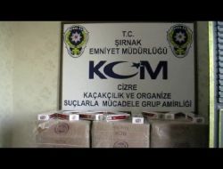 Cizre’de İşyerlerine Kaçak Sigara Operasyonu
