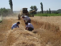 Sındırgı’da Biçerdöverler Denetlendi