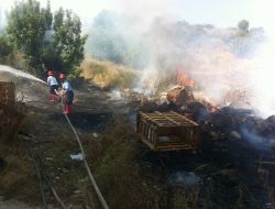 Boş Arazide Çıkan Ot Yangını Ev Ve Ağaçlara Sıçramadan Söndürüldü