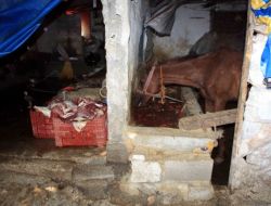 150 Kilo At Eti Ve Sakatatı Ele Geçirildi!