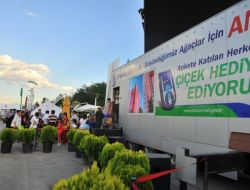 Yurt Dışından Boylu Ağaç Alınmasına Başkentlilerden Onay