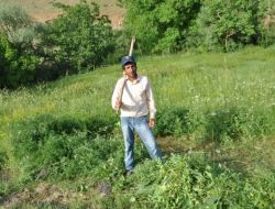 Hakkari’de Çiftçiler Kış Hazırlıklarına Başladı