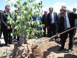 Bakan Eroğlu: Bozuk Ormanlara Ceviz Dikip 49 Yıllığına Köylüye Kiralayacağız