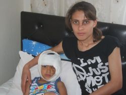 Rotweiler Cinsi Köpek 5 Yaşındaki Çocuğu Parçaladı