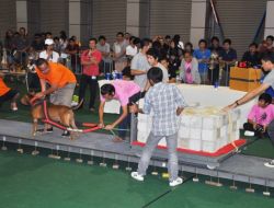 Tayland'daki Köpek Fuarı İlginç Görüntülere Sahne Oldu