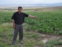 Yerköy Ziraat Odası: İlçemizde Alternatif Ürünlere Yöneliş Arttı