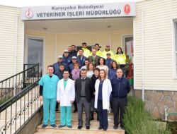 Sokak Hayvanlarına 'Vıp' Hizmeti