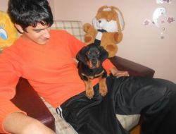 Denizde Kayıkla Balık Tutmak İsteyen Aile Alabora Oldu: 1 Kişi Kayıp