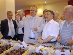 AKŞEHİR KİRAZ FESTİVALİ BAŞLADI