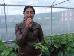 Kaymakam'ın Kurduğu Serada 20 Vatandaş Eğitim Aldı