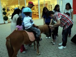 Aileler Alışverişle, Çocuklar Atlarla İlgileniyor